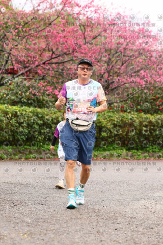 2026左岸竹東櫻花馬拉松Zhudong Sakura Marathon