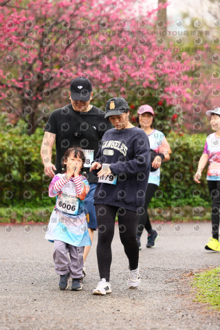 2026左岸竹東櫻花馬拉松Zhudong Sakura Marathon