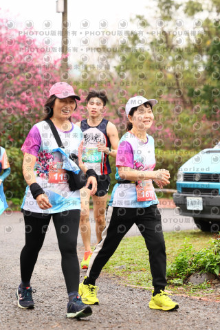 2026左岸竹東櫻花馬拉松Zhudong Sakura Marathon