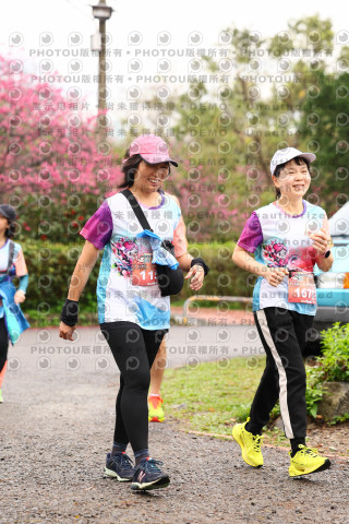 2026左岸竹東櫻花馬拉松Zhudong Sakura Marathon