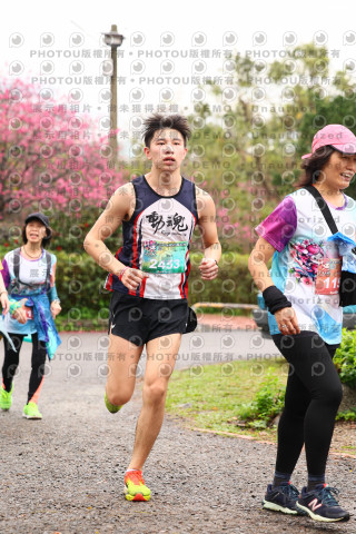 2026左岸竹東櫻花馬拉松Zhudong Sakura Marathon
