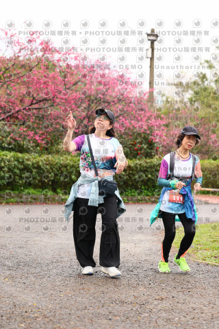 2026左岸竹東櫻花馬拉松Zhudong Sakura Marathon