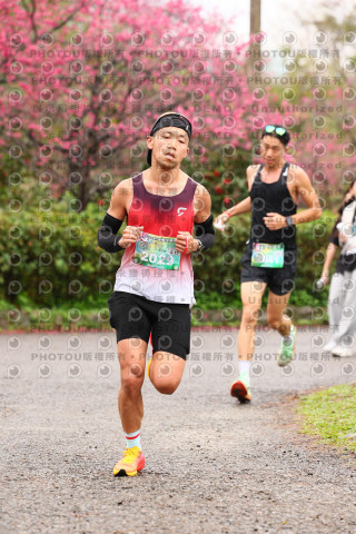 2026左岸竹東櫻花馬拉松Zhudong Sakura Marathon