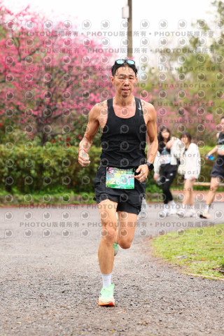 2026左岸竹東櫻花馬拉松Zhudong Sakura Marathon