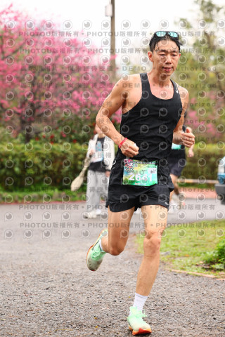 2026左岸竹東櫻花馬拉松Zhudong Sakura Marathon
