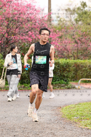 2026左岸竹東櫻花馬拉松Zhudong Sakura Marathon