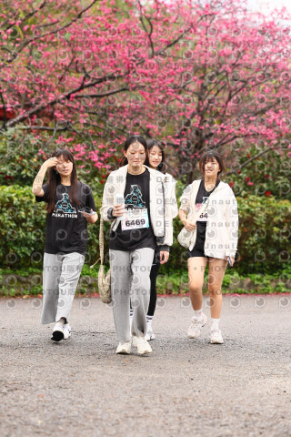 2026左岸竹東櫻花馬拉松Zhudong Sakura Marathon