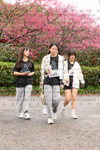 2026左岸竹東櫻花馬拉松Zhudong Sakura Marathon