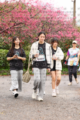 2026左岸竹東櫻花馬拉松Zhudong Sakura Marathon