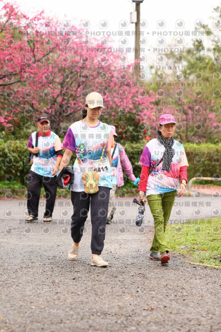 2026左岸竹東櫻花馬拉松Zhudong Sakura Marathon