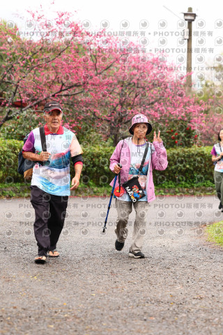 2026左岸竹東櫻花馬拉松Zhudong Sakura Marathon