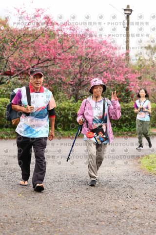 2026左岸竹東櫻花馬拉松Zhudong Sakura Marathon