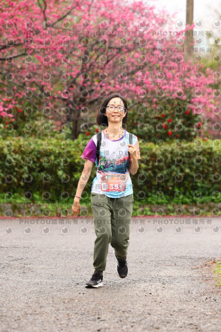 2026左岸竹東櫻花馬拉松Zhudong Sakura Marathon