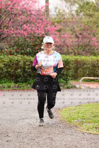 2026左岸竹東櫻花馬拉松Zhudong Sakura Marathon