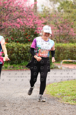2026左岸竹東櫻花馬拉松Zhudong Sakura Marathon