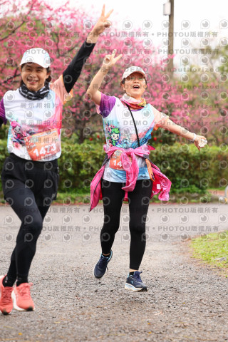 2026左岸竹東櫻花馬拉松Zhudong Sakura Marathon