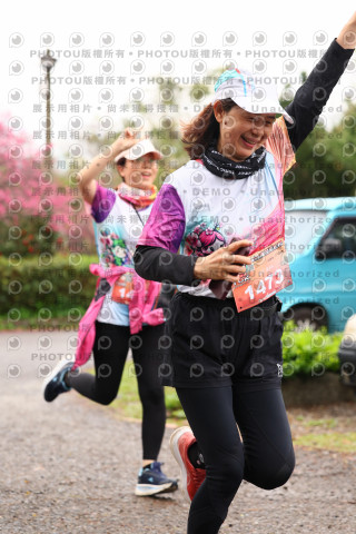 2026左岸竹東櫻花馬拉松Zhudong Sakura Marathon