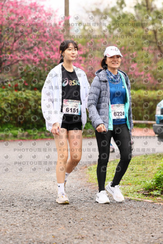 2026左岸竹東櫻花馬拉松Zhudong Sakura Marathon