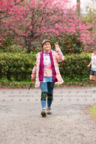 2026左岸竹東櫻花馬拉松Zhudong Sakura Marathon