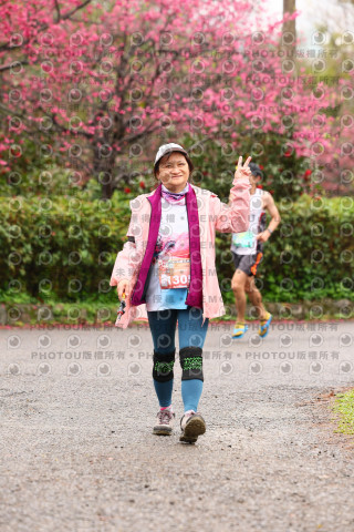 2026左岸竹東櫻花馬拉松Zhudong Sakura Marathon