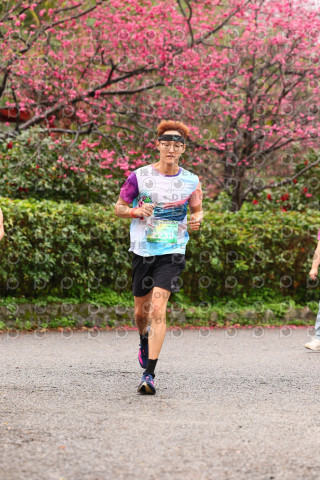 2026左岸竹東櫻花馬拉松Zhudong Sakura Marathon