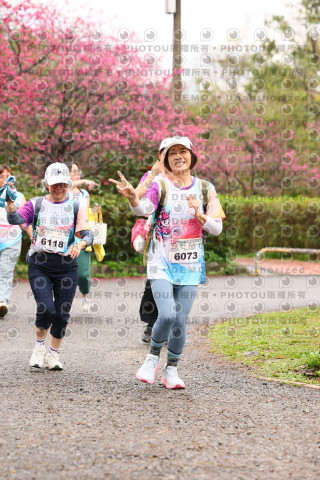 2026左岸竹東櫻花馬拉松Zhudong Sakura Marathon