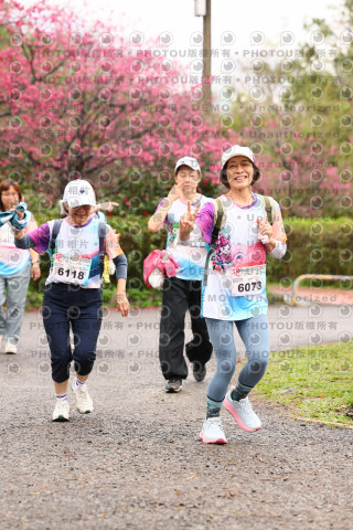 2026左岸竹東櫻花馬拉松Zhudong Sakura Marathon