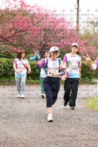2026左岸竹東櫻花馬拉松Zhudong Sakura Marathon