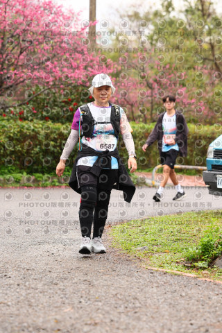 2026左岸竹東櫻花馬拉松Zhudong Sakura Marathon