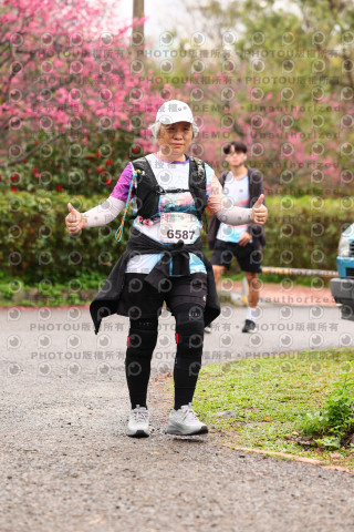 2026左岸竹東櫻花馬拉松Zhudong Sakura Marathon