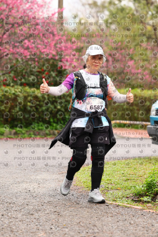 2026左岸竹東櫻花馬拉松Zhudong Sakura Marathon
