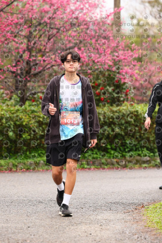 2026左岸竹東櫻花馬拉松Zhudong Sakura Marathon