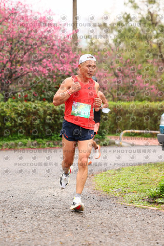 2026左岸竹東櫻花馬拉松Zhudong Sakura Marathon