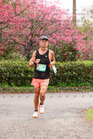 2026左岸竹東櫻花馬拉松Zhudong Sakura Marathon