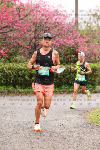 2026左岸竹東櫻花馬拉松Zhudong Sakura Marathon