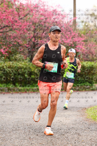 2026左岸竹東櫻花馬拉松Zhudong Sakura Marathon