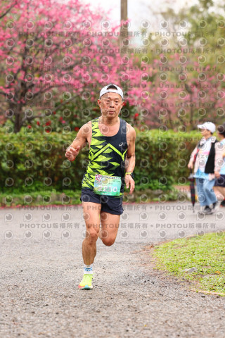 2026左岸竹東櫻花馬拉松Zhudong Sakura Marathon