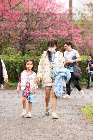 2026左岸竹東櫻花馬拉松Zhudong Sakura Marathon