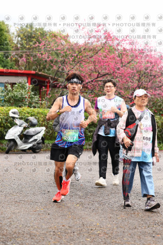 2026左岸竹東櫻花馬拉松Zhudong Sakura Marathon