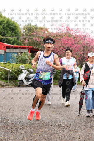 2026左岸竹東櫻花馬拉松Zhudong Sakura Marathon