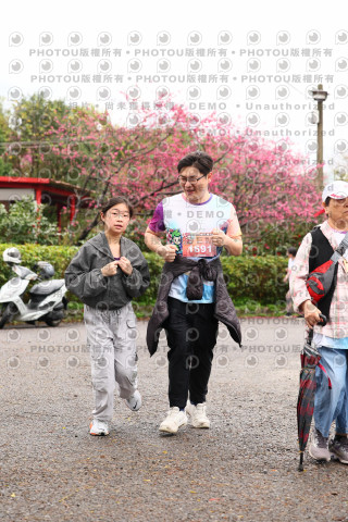 2026左岸竹東櫻花馬拉松Zhudong Sakura Marathon