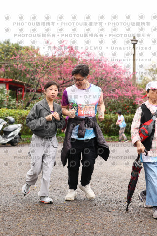 2026左岸竹東櫻花馬拉松Zhudong Sakura Marathon