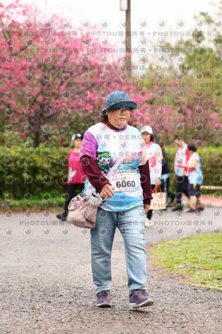 2026左岸竹東櫻花馬拉松Zhudong Sakura Marathon