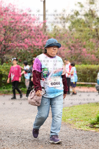 2026左岸竹東櫻花馬拉松Zhudong Sakura Marathon