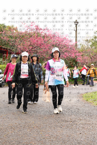 2026左岸竹東櫻花馬拉松Zhudong Sakura Marathon