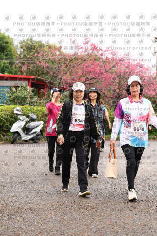 2026左岸竹東櫻花馬拉松Zhudong Sakura Marathon
