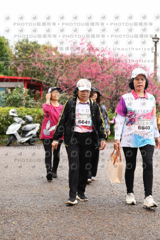 2026左岸竹東櫻花馬拉松Zhudong Sakura Marathon