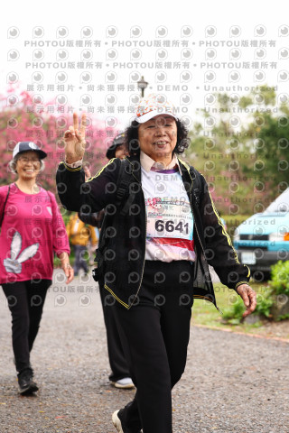 2026左岸竹東櫻花馬拉松Zhudong Sakura Marathon
