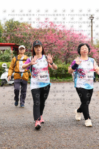 2026左岸竹東櫻花馬拉松Zhudong Sakura Marathon