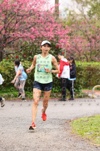 2026左岸竹東櫻花馬拉松Zhudong Sakura Marathon